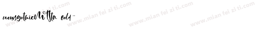 newsgothicMTSta bold字体转换